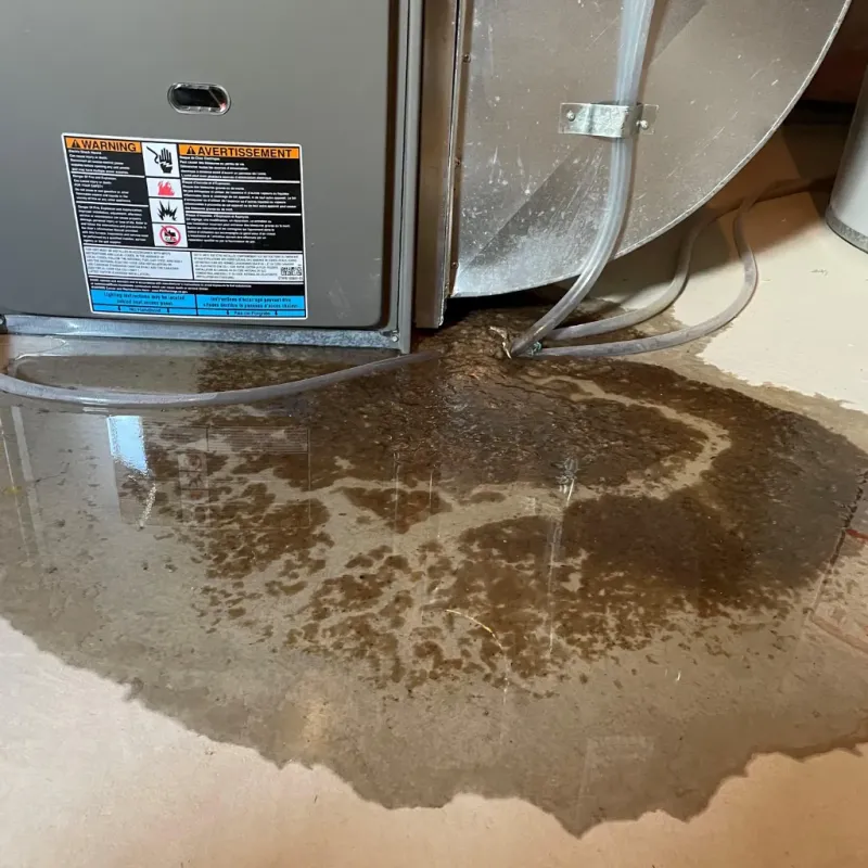 Appliance Leak Cleanup in Los Serranos, CA