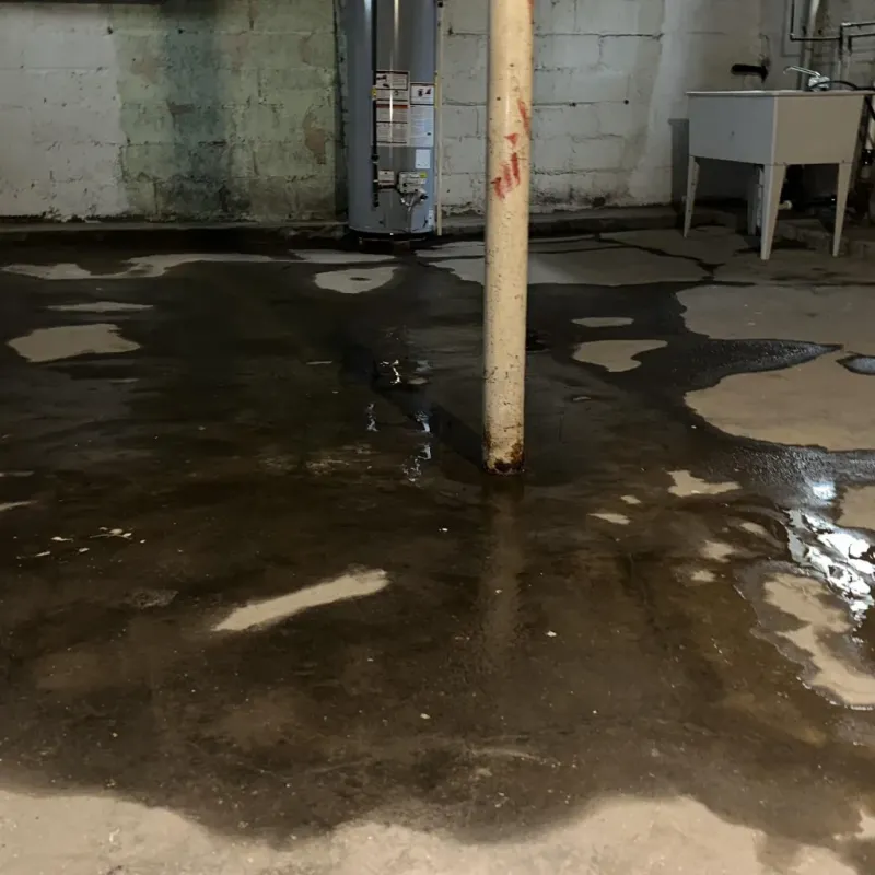 Emergency Water Extraction And Removal in Los Serranos, CA